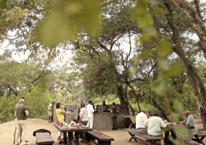 Tanda Tula Bush Breakfast
