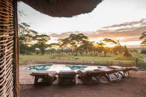 Tarangire - Swala - Sanctuary Retreats