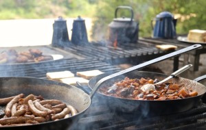 Bush Breakfast, Tanda Tula