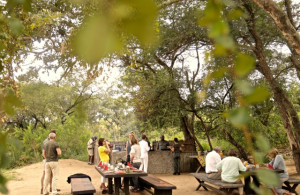 Bush Breakfast