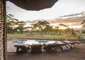 Sanctuary Retreat Swala