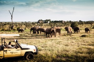 Game Drive at Segera Retreat
