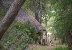 Swala - bird watching