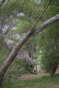 Swala - lodge grounds
