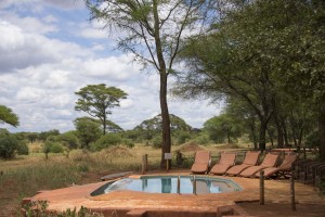 Swala - pool 3