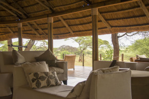 Swala - Lodge looking out