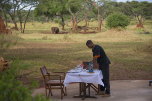 Swala - Lunch