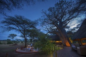 Swala - Evening lodge shot