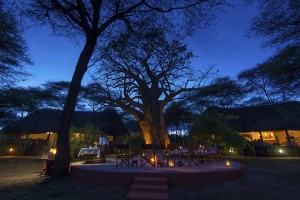 Swala - Boma baobab