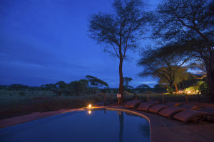 Swala - pool at night