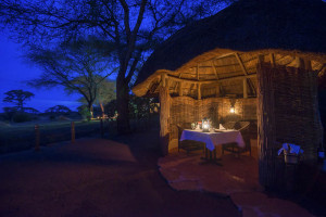 Swala - Dinner