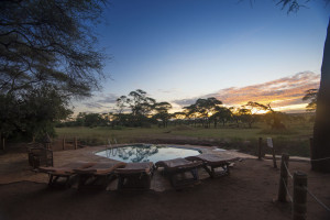 Swala - Pool chairs