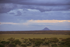 Swala - Landscape