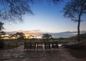 Swala - Malawi Chairs