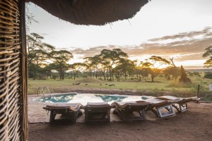 Swala - pool view