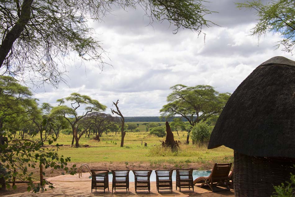 Swala - Pool view