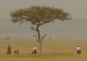 Safaris Unlimited_Mara Horseback Safari