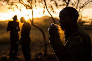 Ranger looking up at spotter plane in the search for snared rhino Bahati, Chyulu Hills, Kenya.