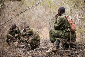 Wildlife rangers on hear news of Bahati's death.