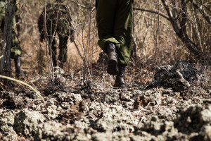 Rangers tracking over lava fields, Chyulu Hills, Kenya