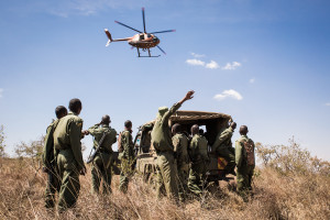 Chopper searching for snared rhino, Bahati
