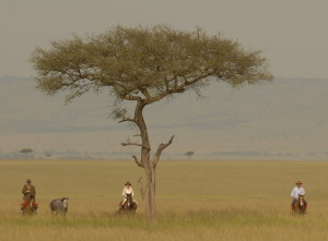 Masai Mara horseback safaris