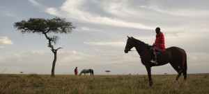 Masai Mara_Horseback Safari_Man and tree
