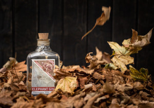 Autumn leaves falling_Elephant Gin