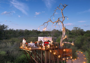 Chalkey Treehouse, Lion Sands Game Reserve