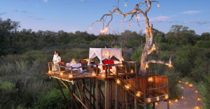 Chalkley Treehouse, Lion Sands Game Reserve
