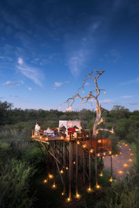 Chalkley Treehouse, Lion Sands
