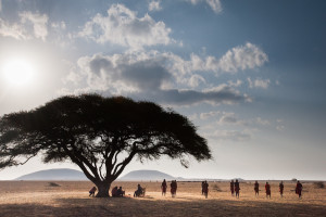 The large Acacia Tortilis under which David and Amber got married