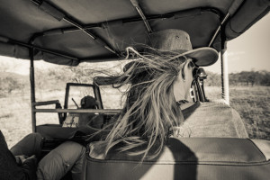 On the back of a safari game-drive vehicle, Kenya