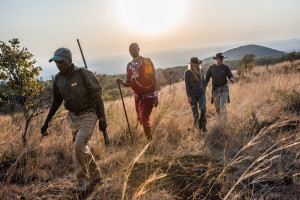 Guided walks at ol Donyo