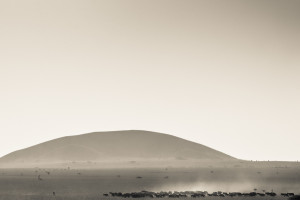 View over the plains on safari in Kenya