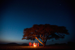 A beautiful starlight night around the fire, under the Acacia Tortillis tree