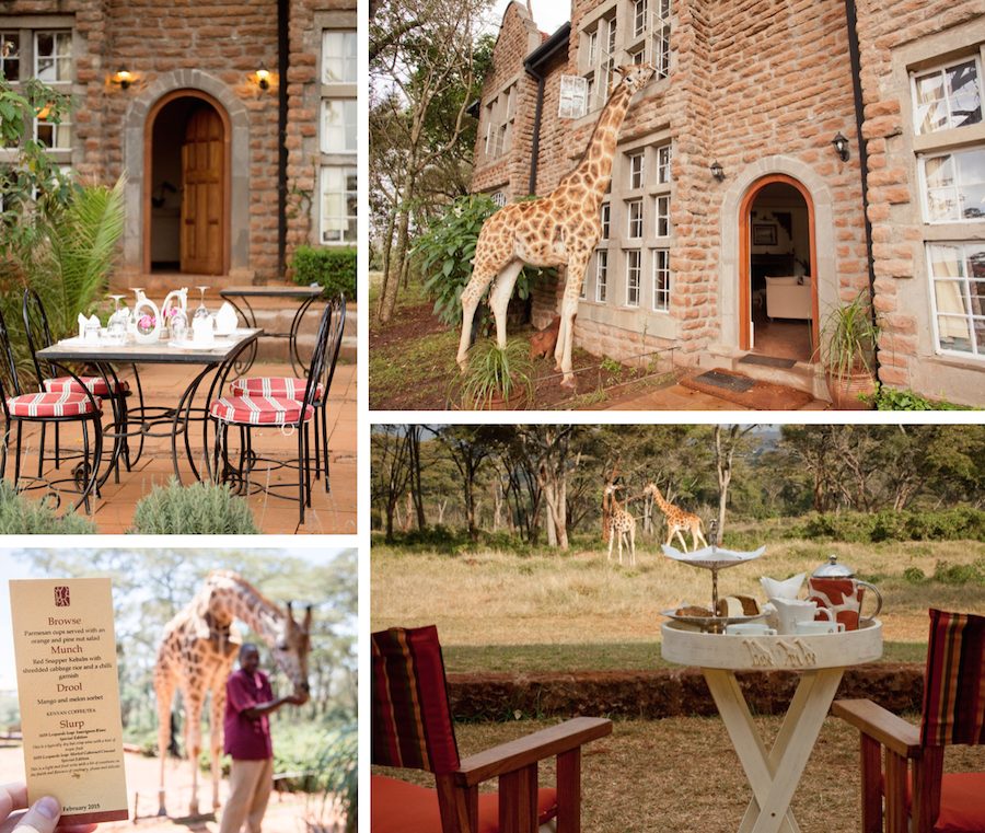 High Tea Hideaways_Giraffe Manor, Nairobi, Kenya