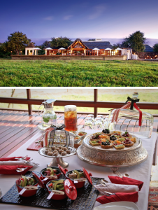 High Tea Hideaways_Jamala Madikwe