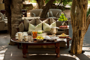 High Tea Hideaways_Ngala Safari Lodge