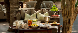 High Tea Hideaways_Ngala Safari Lodge