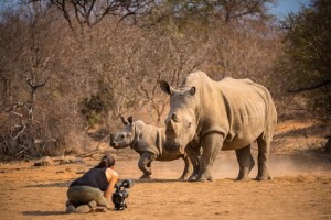 Shannon Wild Filming Rhino
