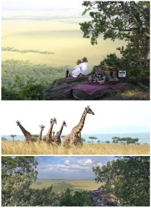 Angama Mara Out of Africa picnic spot collage