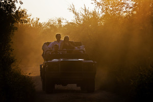 Game Drive vehicle for two - Londolozi