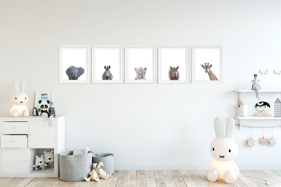 Safari Babies - Complete Set