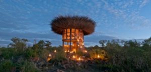 The Bird Nest, Segera Retreat