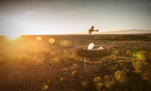 The Bird Nest, Segera Retreat