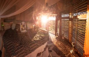 The Bird Nest, Segera Retreat